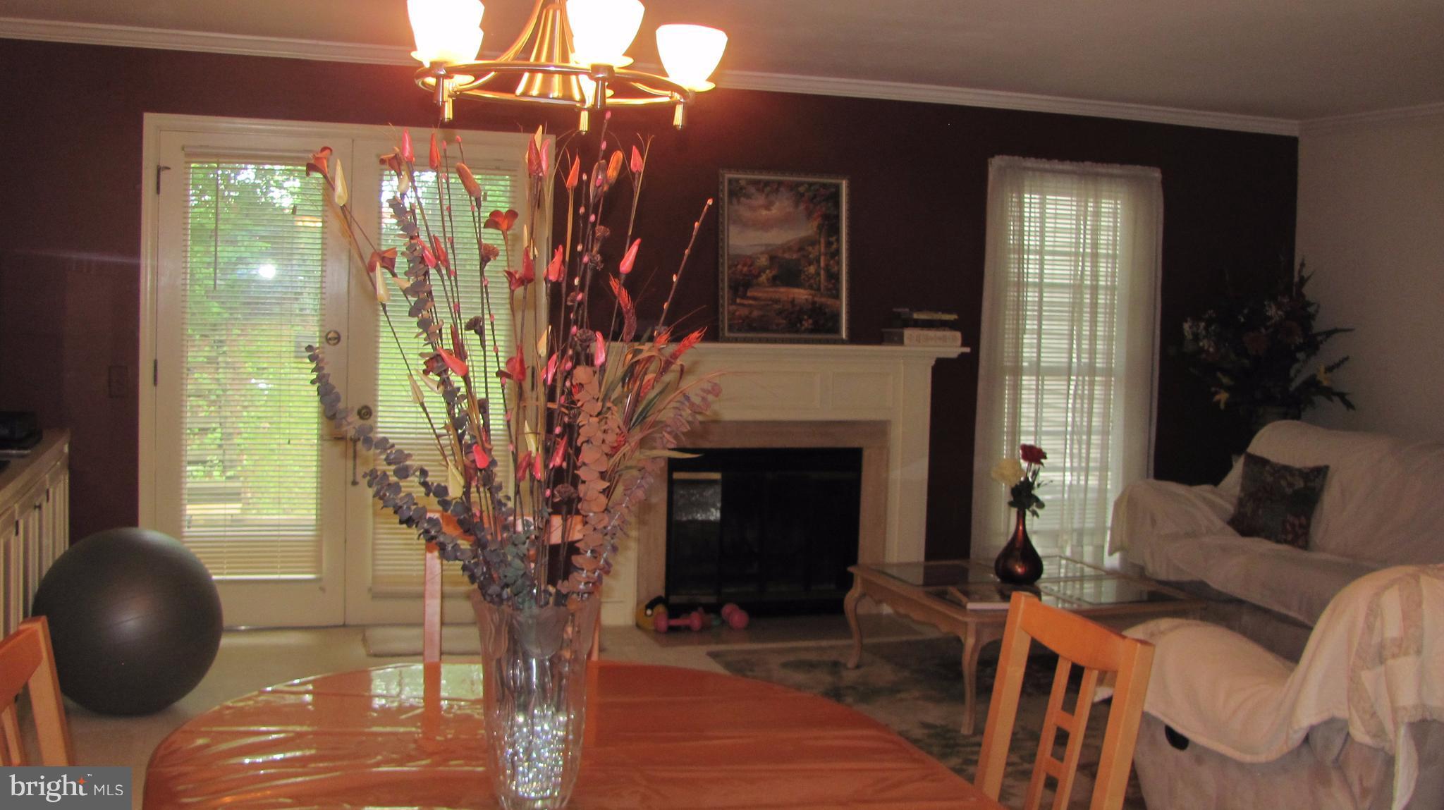 12705 Turquoise Terrace Silver Spring, MD 20904 - Photo 7 of 24 a living room with furniture and a fireplace