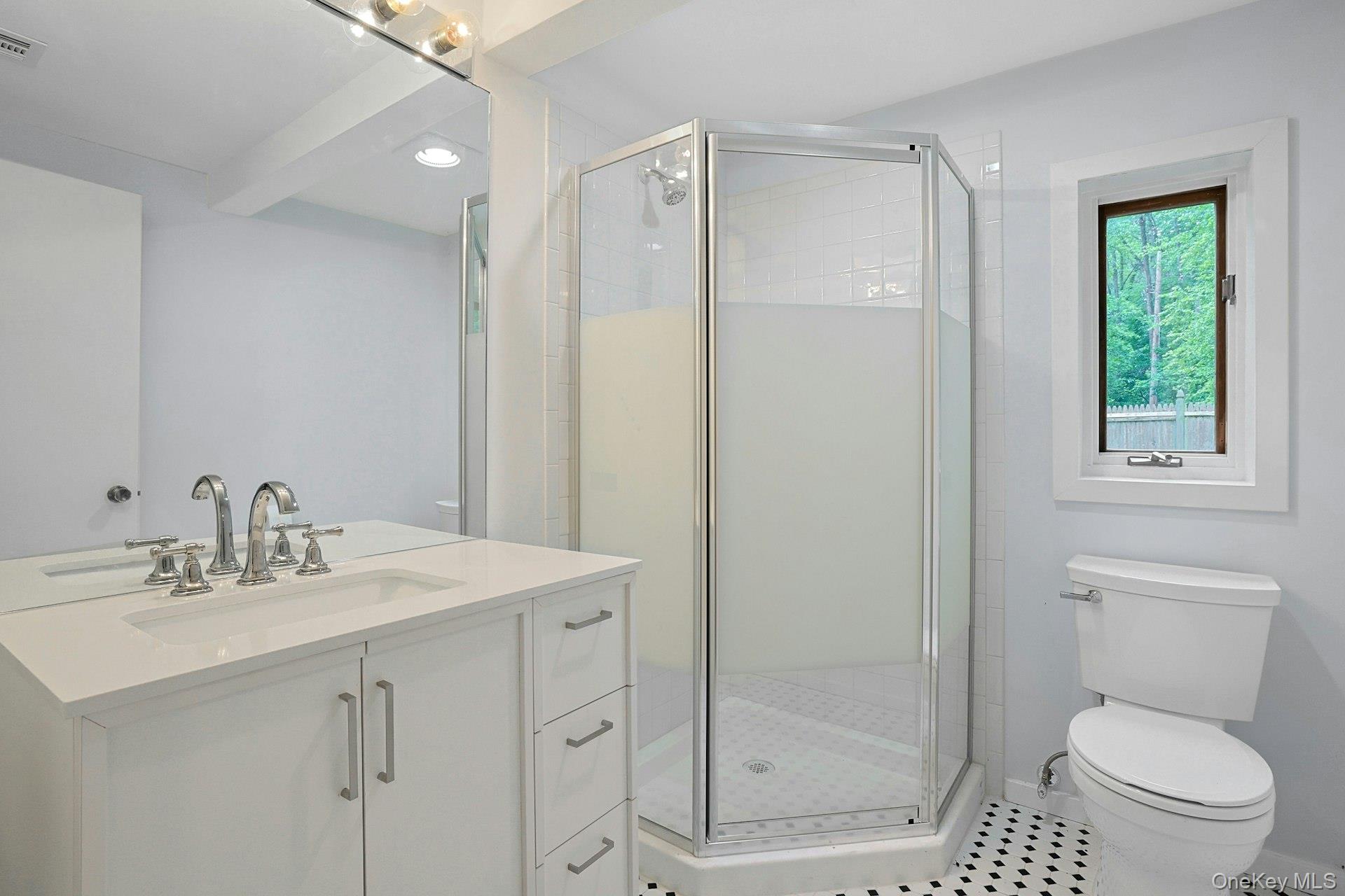 21 Woods Road Palisades, NY 10964 - Photo 45 of 47 a bathroom with a sink a toilet and shower