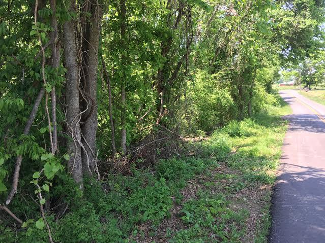 Raby Road Sweetwater, TN 37874 - Photo 3 of 5 unnamed (3)
