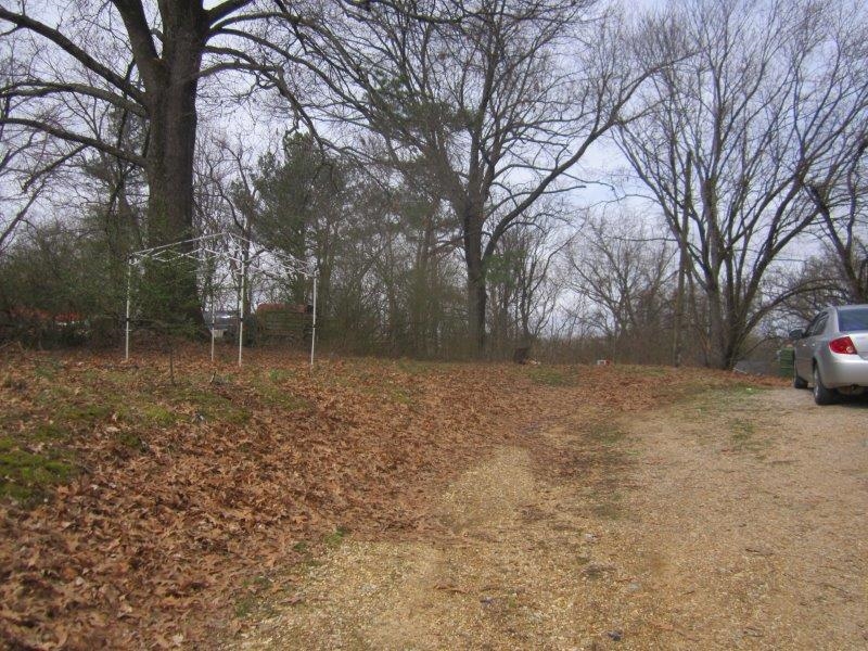 191 Chickasaw Street Ripley, TN 38063 - Photo 3 of 3 a backyard of a house with lots of green space