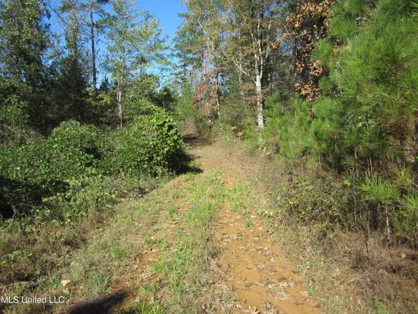 $87,500 | 312 Cr Tiplersville Ms 38674, Tiplersville, MS 38674
