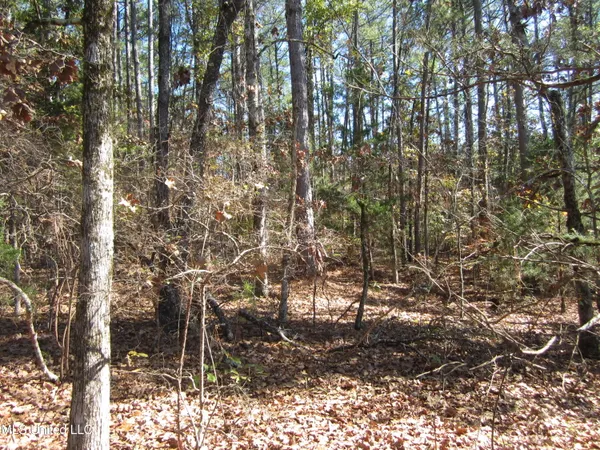 $87,500 | 312 Cr Tiplersville Ms 38674, Tiplersville, MS 38674