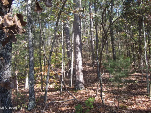 $87,500 | 312 Cr Tiplersville Ms 38674, Tiplersville, MS 38674