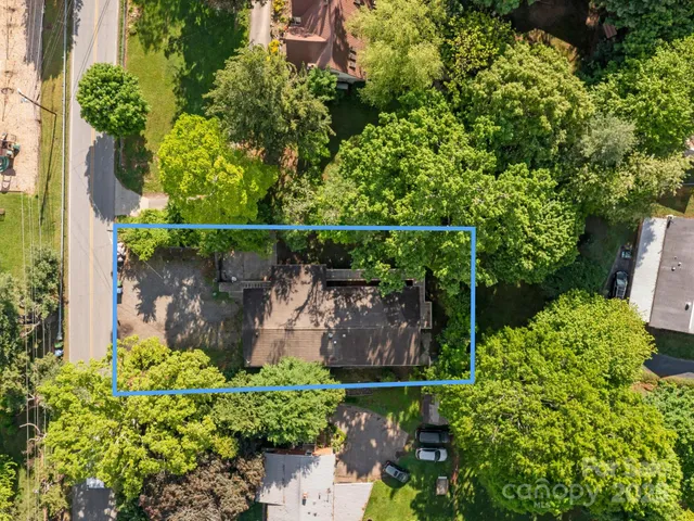 a view of a yard with plants