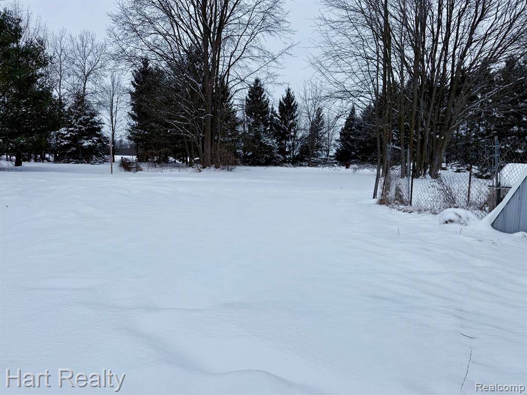 324 West Custer Road Sandusky, MI 48471 - Photo 4 of 28