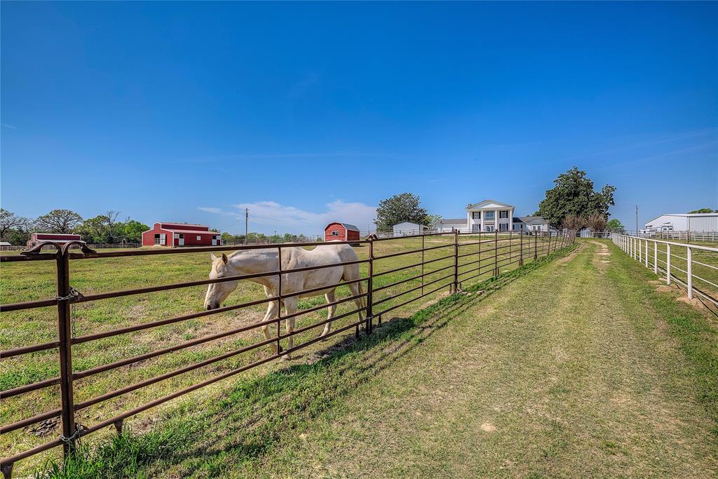 7359 Highway 154 Sulphur Springs, TX 75482 - Photo 7 of 40 20 acres of Coastal Bermuda pasture, fenced for horses with multiple pastures and corrals.