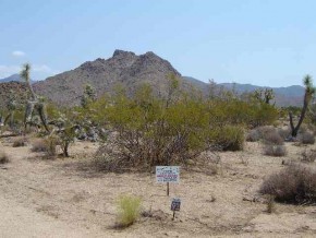 Lot 92 Boulder Road Yucca, AZ 86438 - Photo 3 of 5 Additional Photo