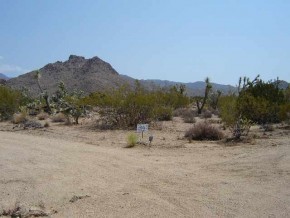 Lot 92 Boulder Road Yucca, AZ 86438 - Photo 5 of 5 Additional Photo