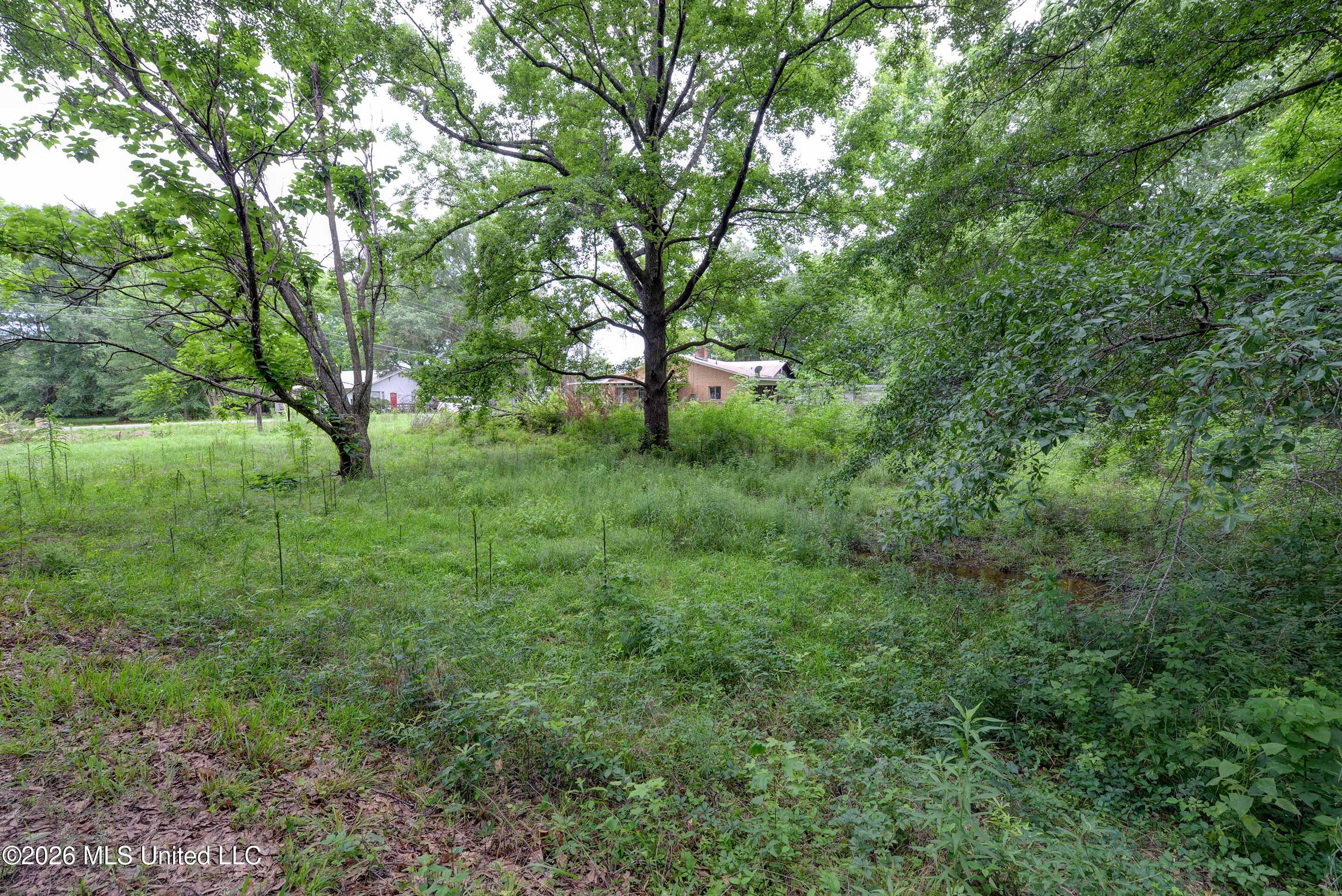 8006 Old 8th Street Road North Meridian, MS 39307 - Photo 16 of 30 8006-Old-8th-St-Rd-16