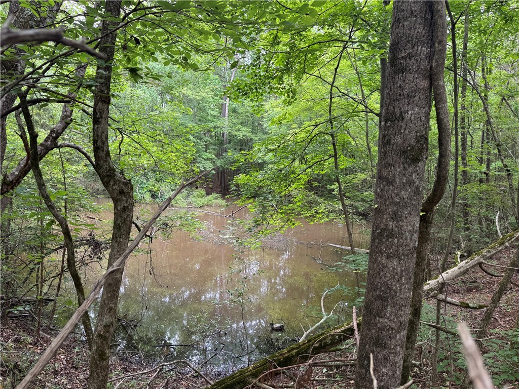 6050 Cross Anchor Road Enoree, SC 29335 - Photo 41 of 49