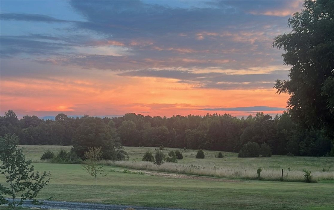 6050 Cross Anchor Road Enoree, SC 29335 - Photo 49 of 49