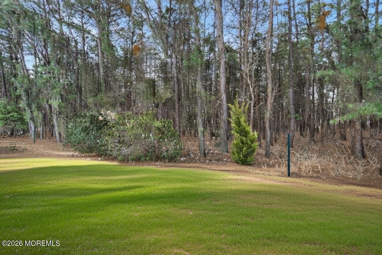 17 Meadowbrook Road Brick, NJ 08723 - Photo 32 of 36 a view of a park with large trees