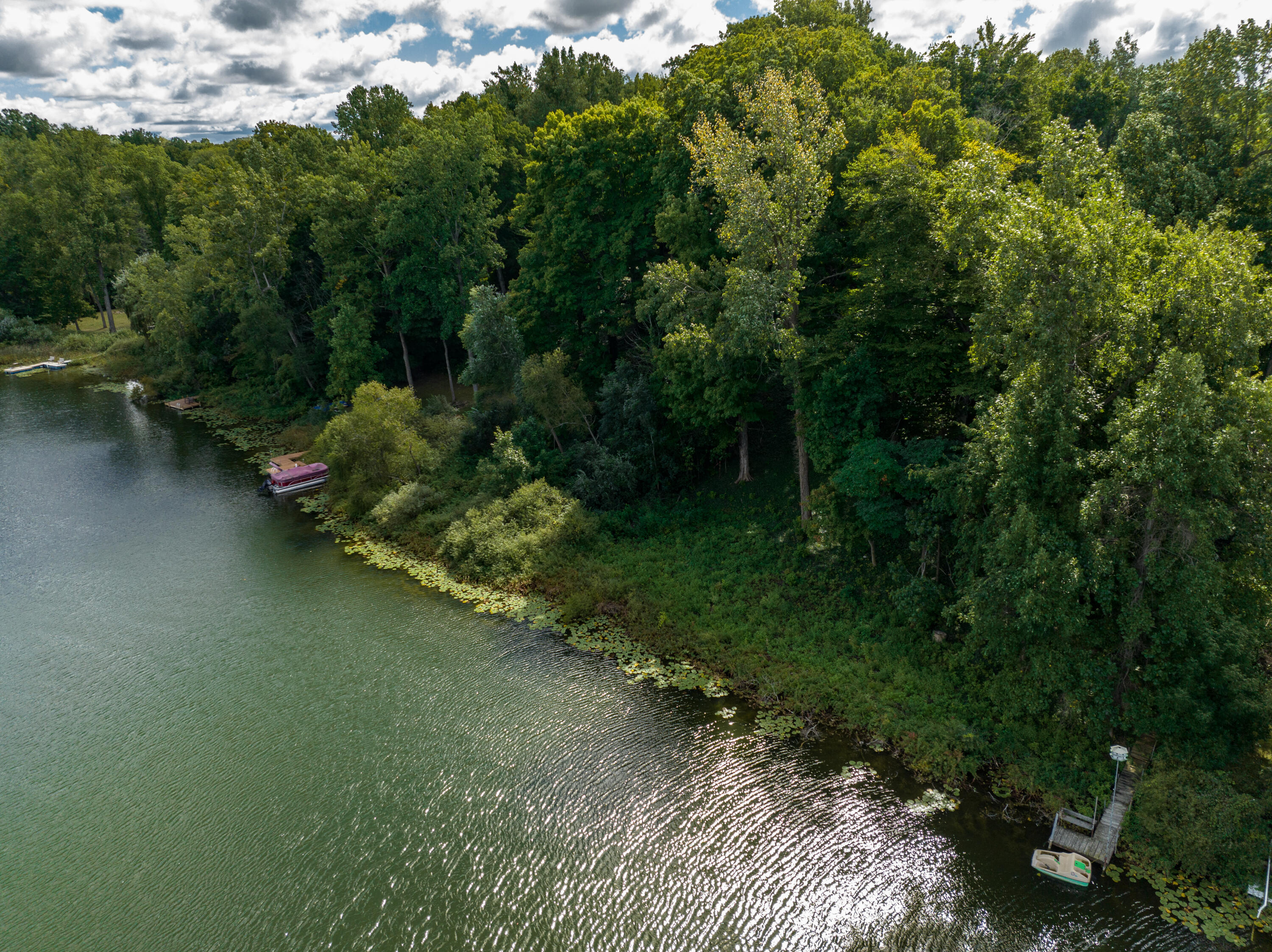 161 Spring Road Baroda, MI 49101 - Photo 47 of 53 Singer Lake