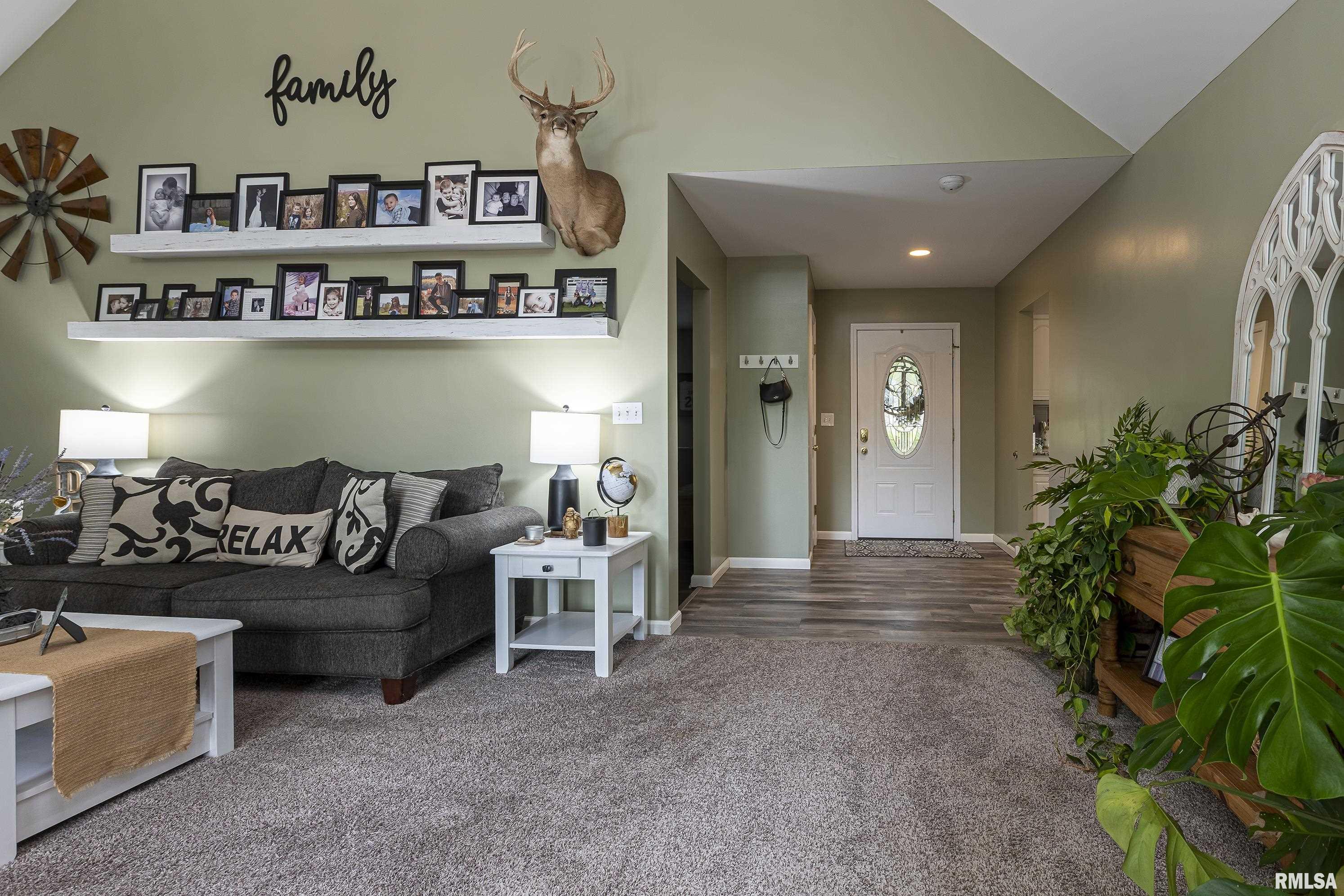 100 Raven Lane Goreville, IL 62939 - Photo 5 of 41