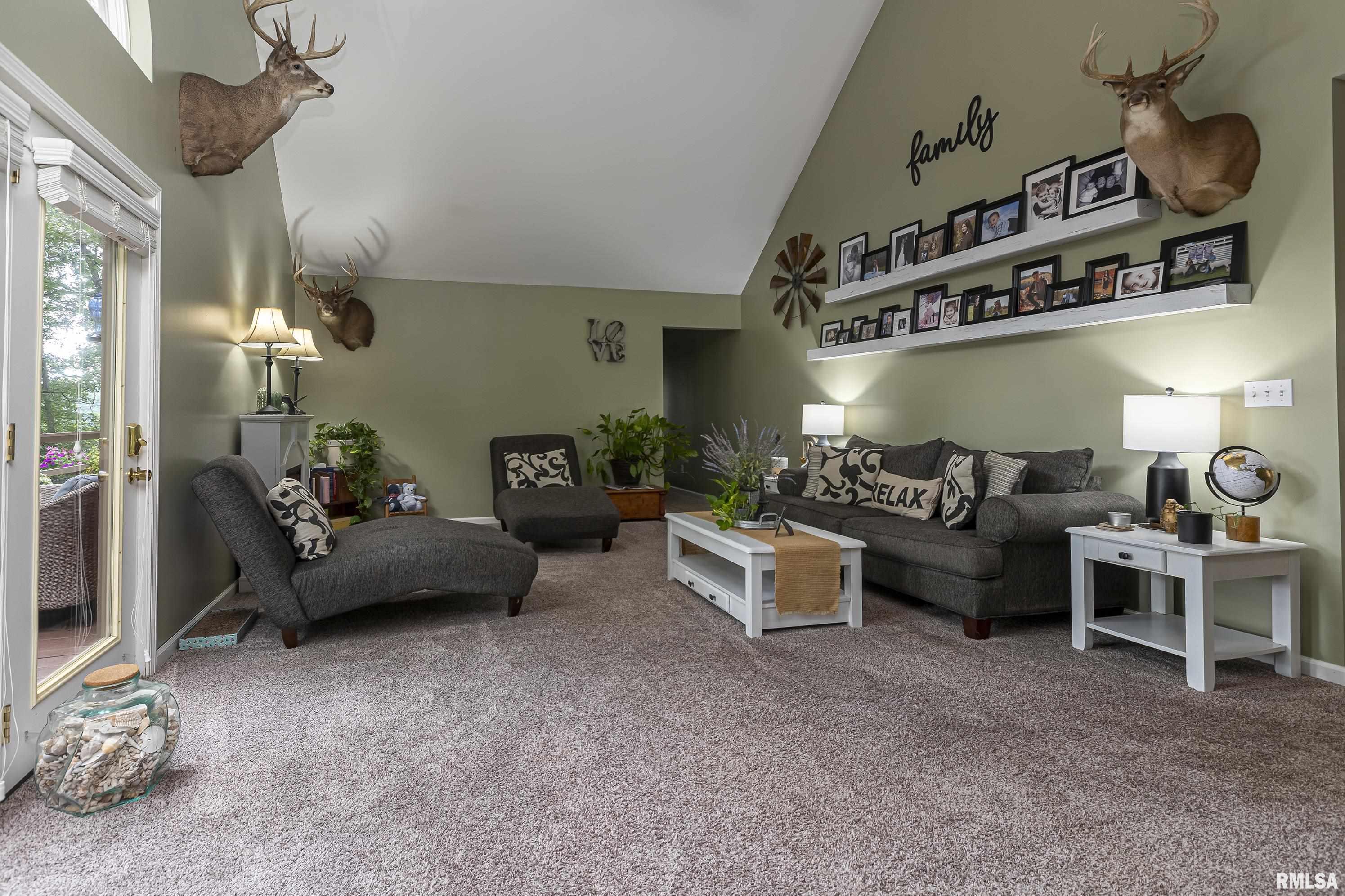 100 Raven Lane Goreville, IL 62939 - Photo 7 of 41