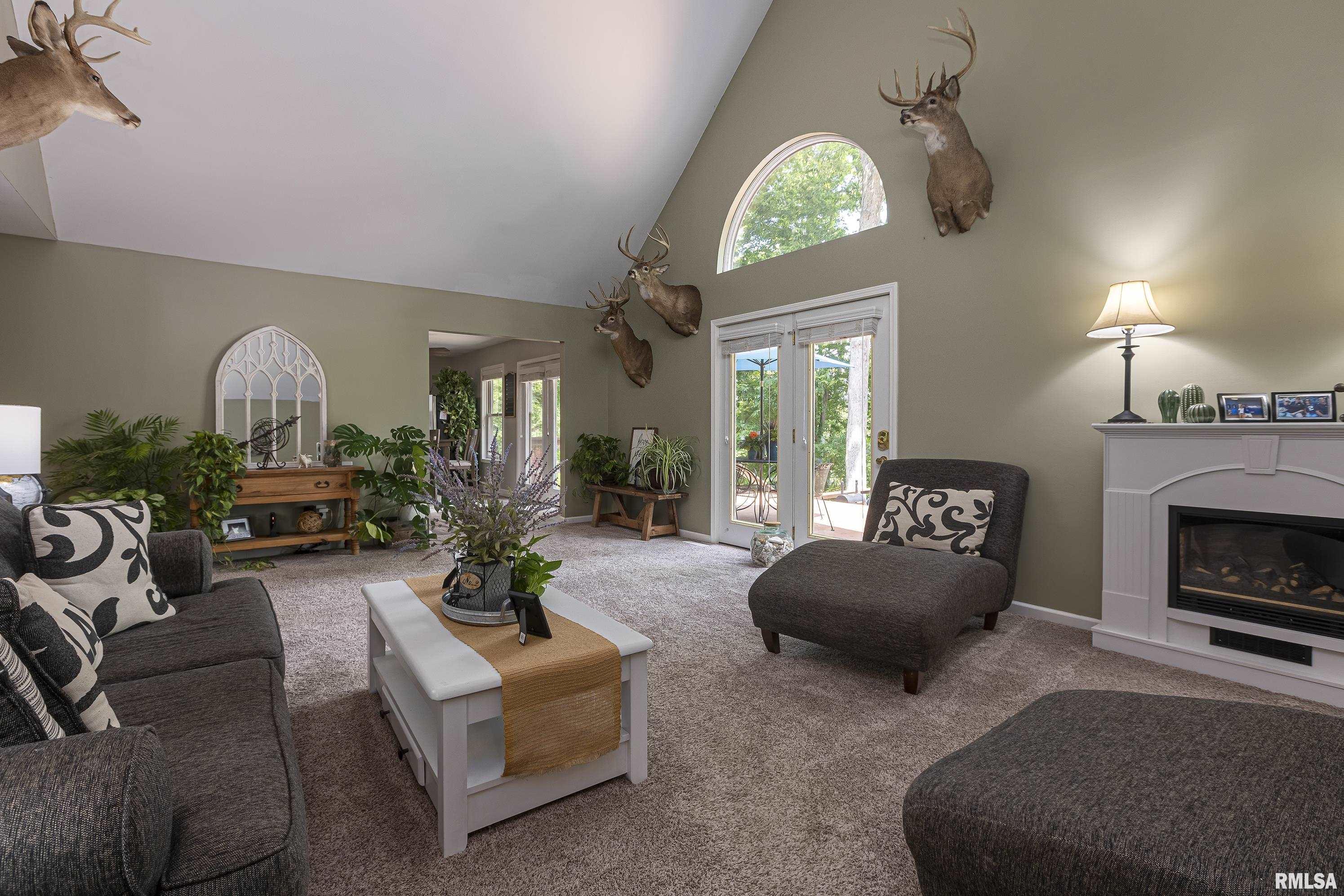 100 Raven Lane Goreville, IL 62939 - Photo 8 of 41