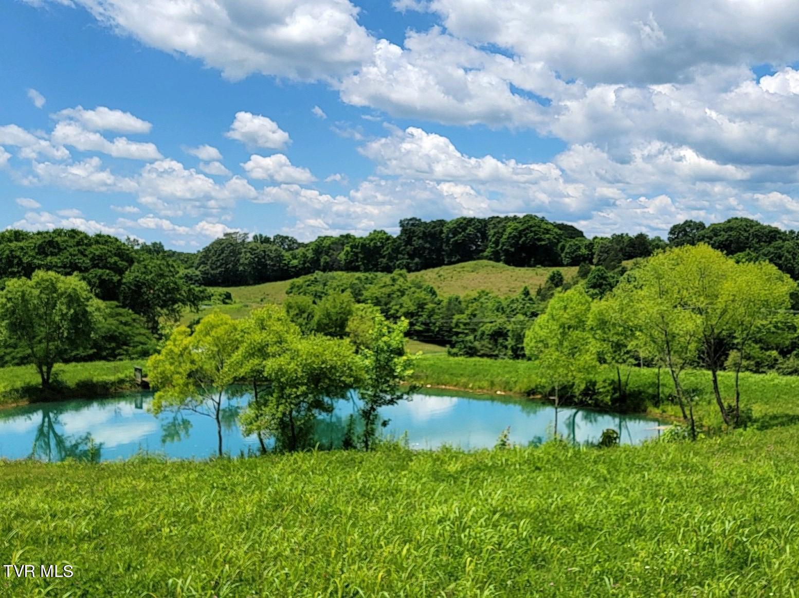 1510 West Pines Road Afton, TN 37616 - Photo 45 of 93 REPS360-0042