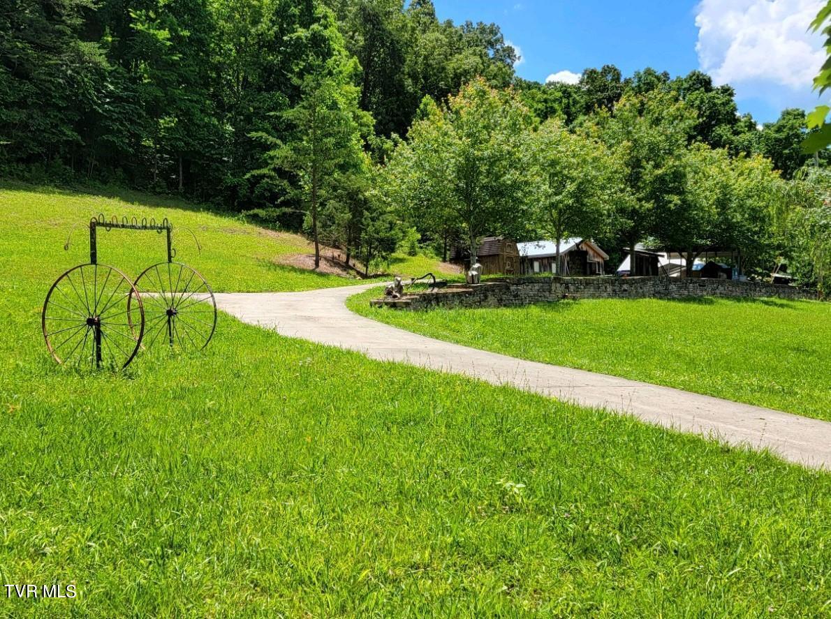 1510 West Pines Road Afton, TN 37616 - Photo 6 of 93 REPS360-0045