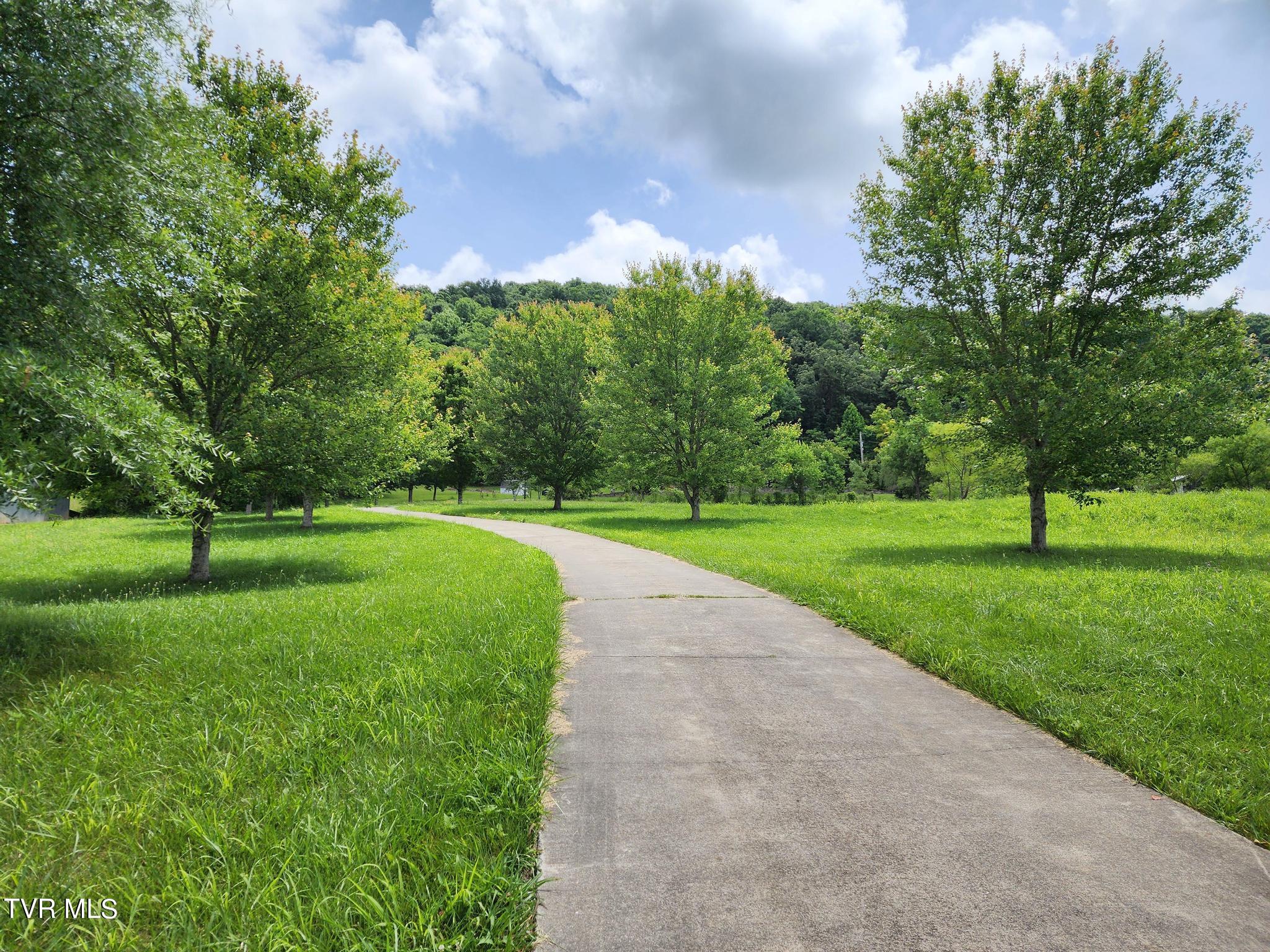 1510 West Pines Road Afton, TN 37616 - Photo 83 of 93 20240603_130700