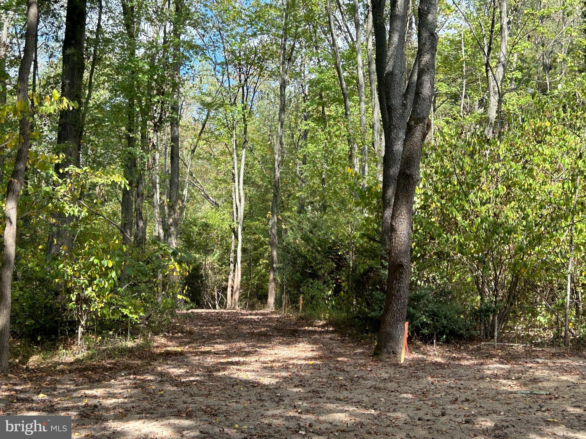 Vincentown Road Pemberton, NJ 08068 - Photo 11 of 11