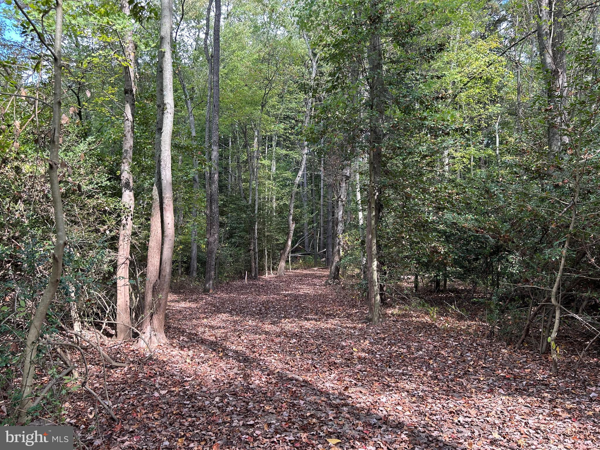 Vincentown Road Pemberton, NJ 08068 - Photo 3 of 11