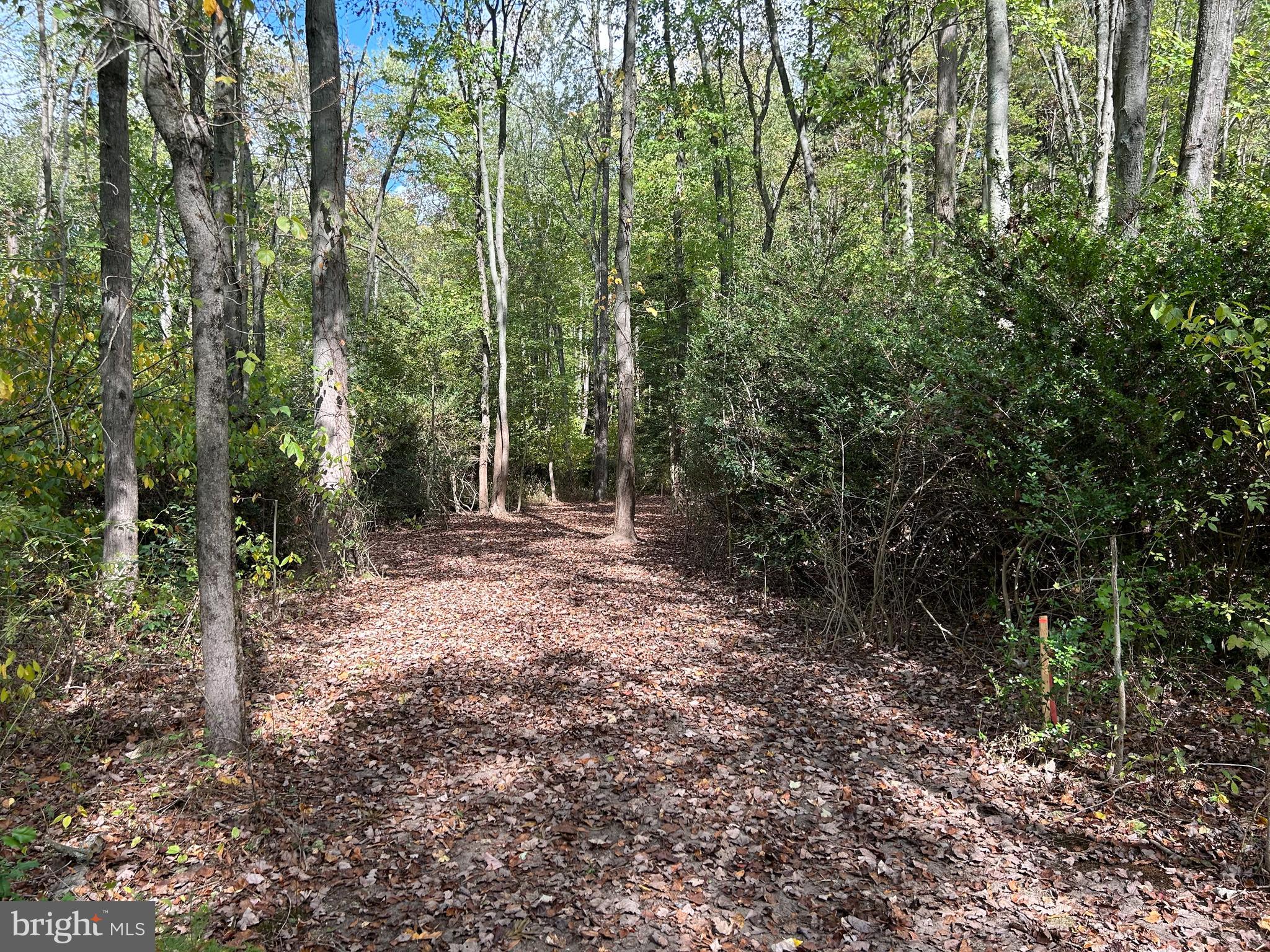 Vincentown Road Pemberton, NJ 08068 - Photo 6 of 11