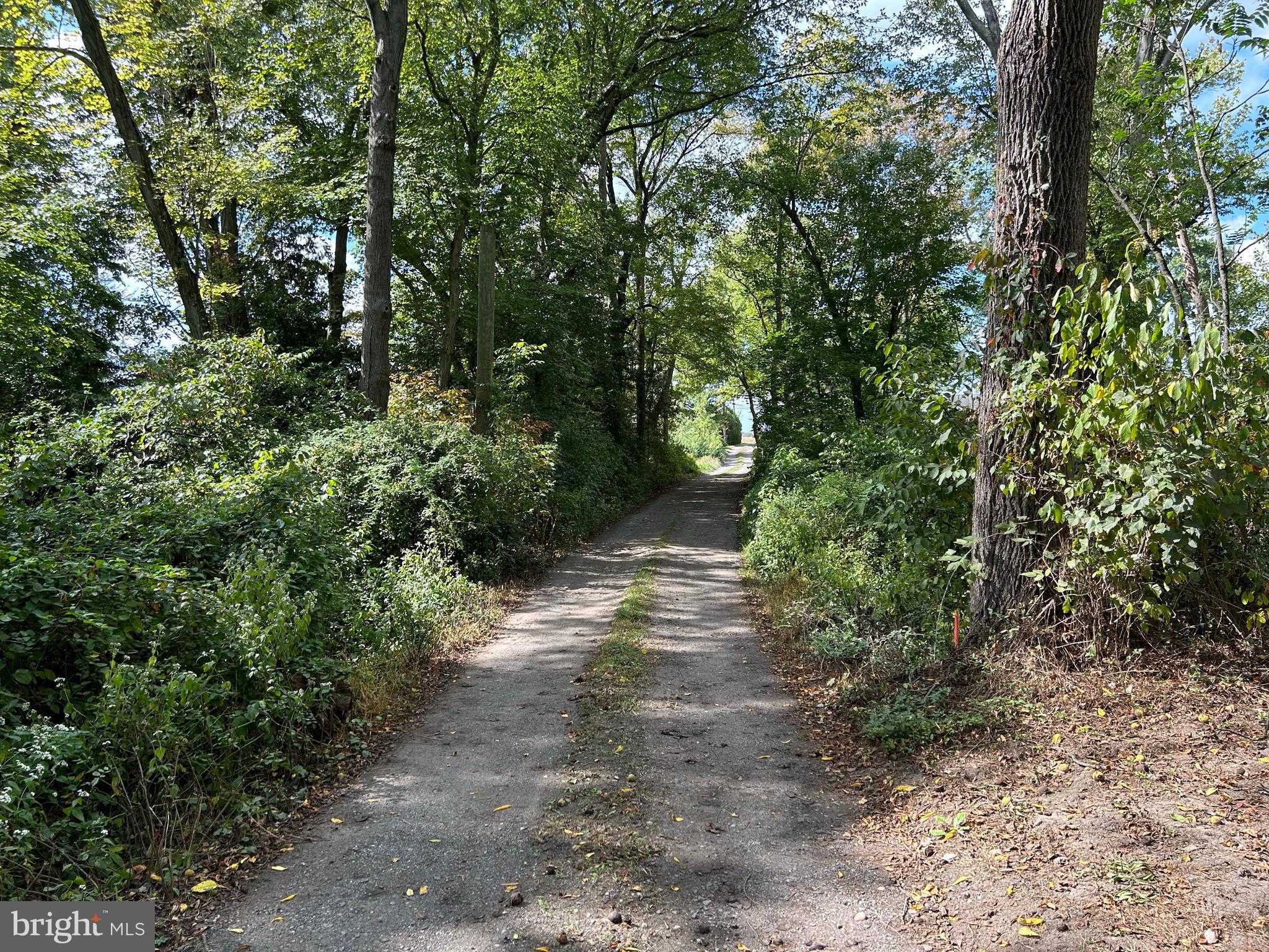 Vincentown Road Pemberton, NJ 08068 - Photo 7 of 11