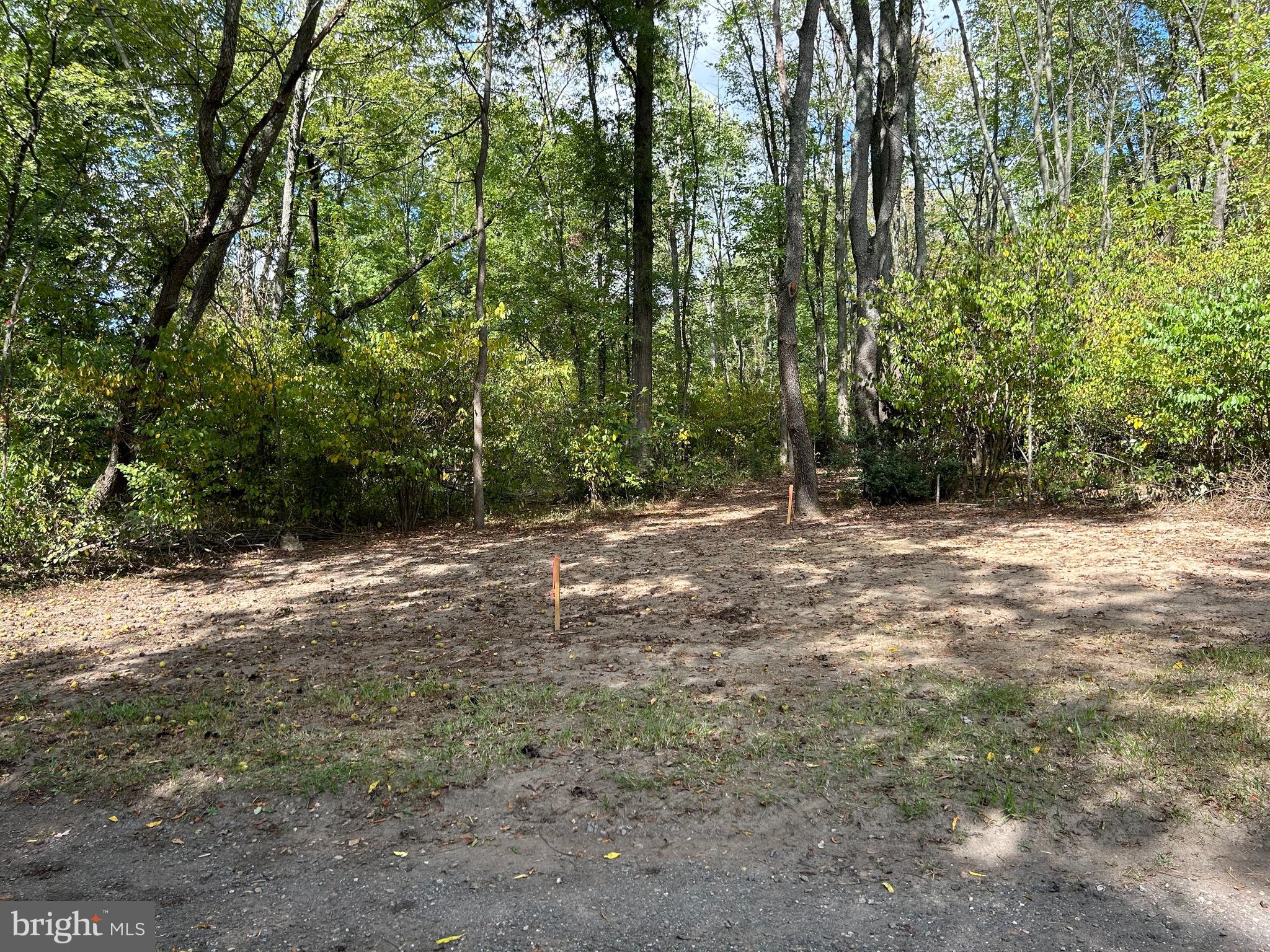 Vincentown Road Pemberton, NJ 08068 - Photo 9 of 11