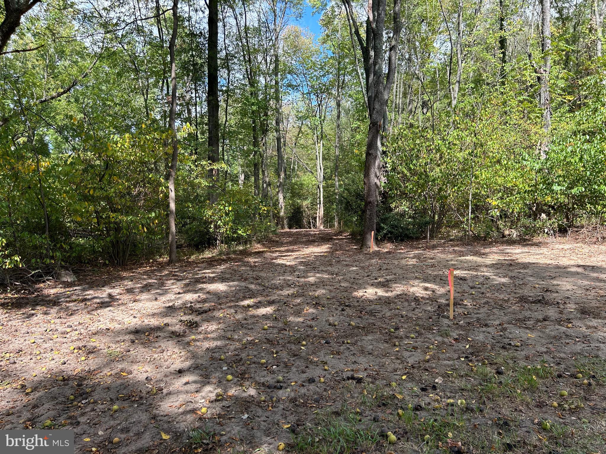 Vincentown Road Pemberton, NJ 08068 - Photo 10 of 11