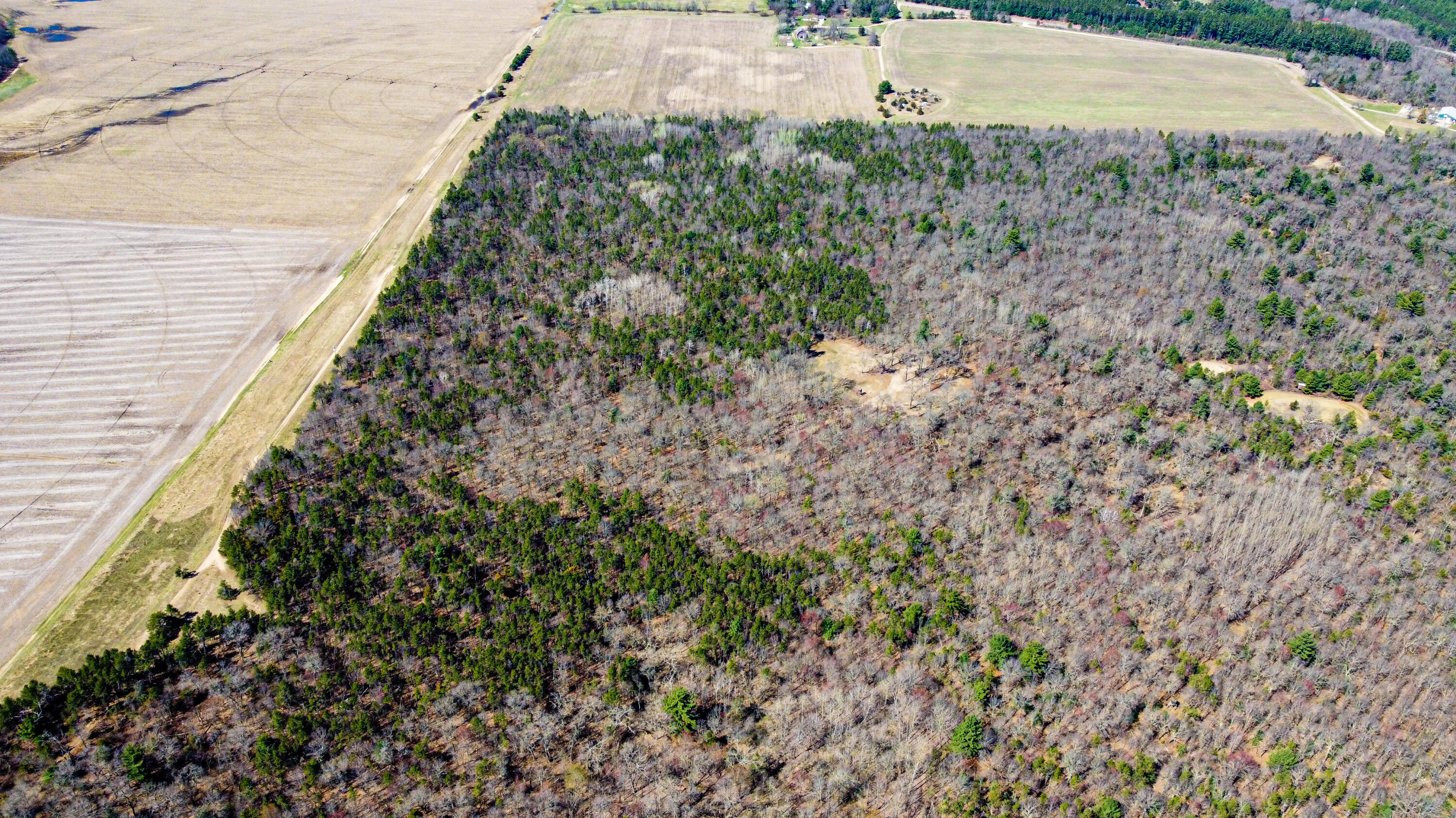 0 Lake Road Melrose, WI 54642 - Photo 11 of 60 43-DJI_0618