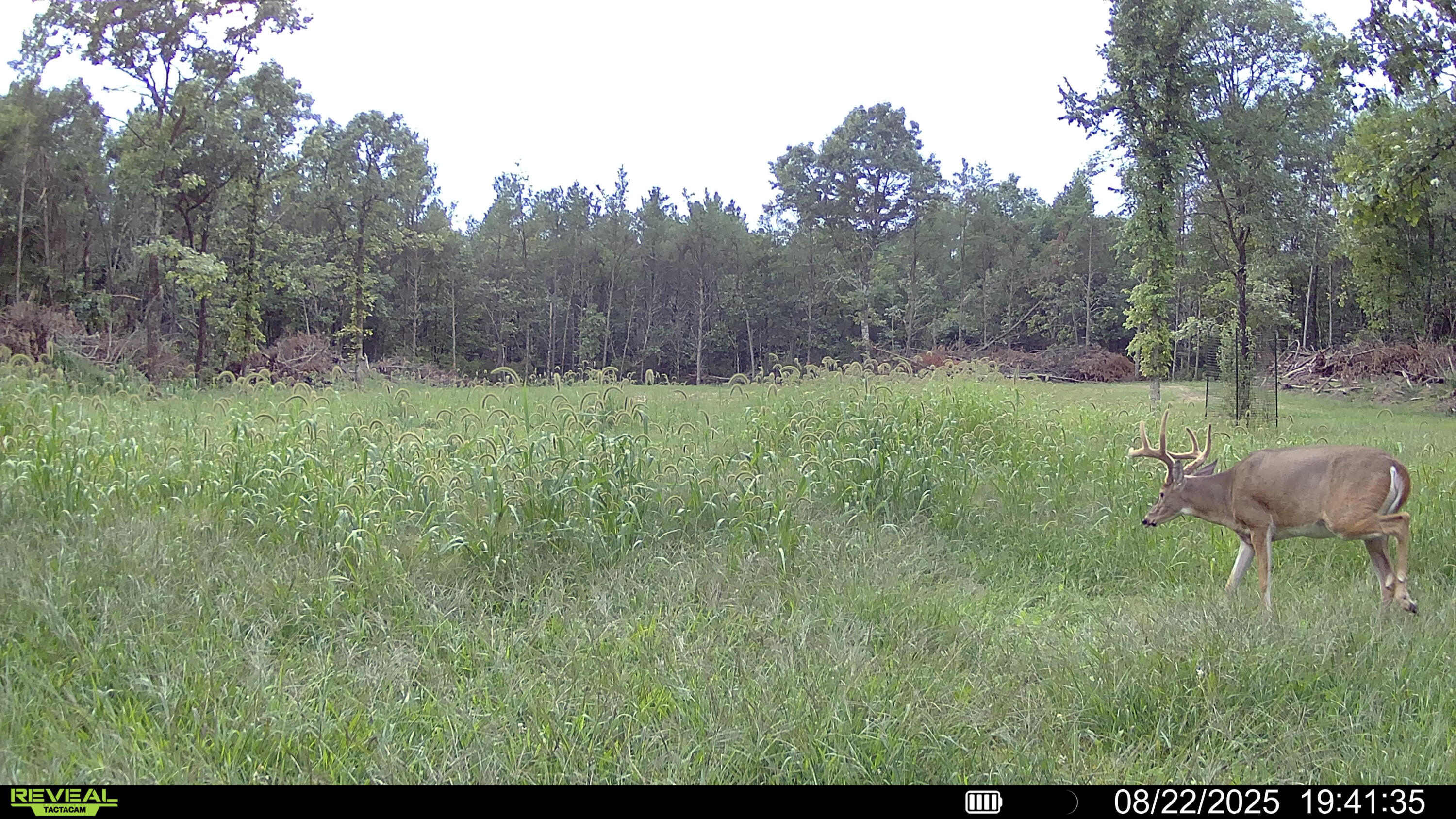 0 Lake Road Melrose, WI 54642 - Photo 12 of 60 1-SYFW01145