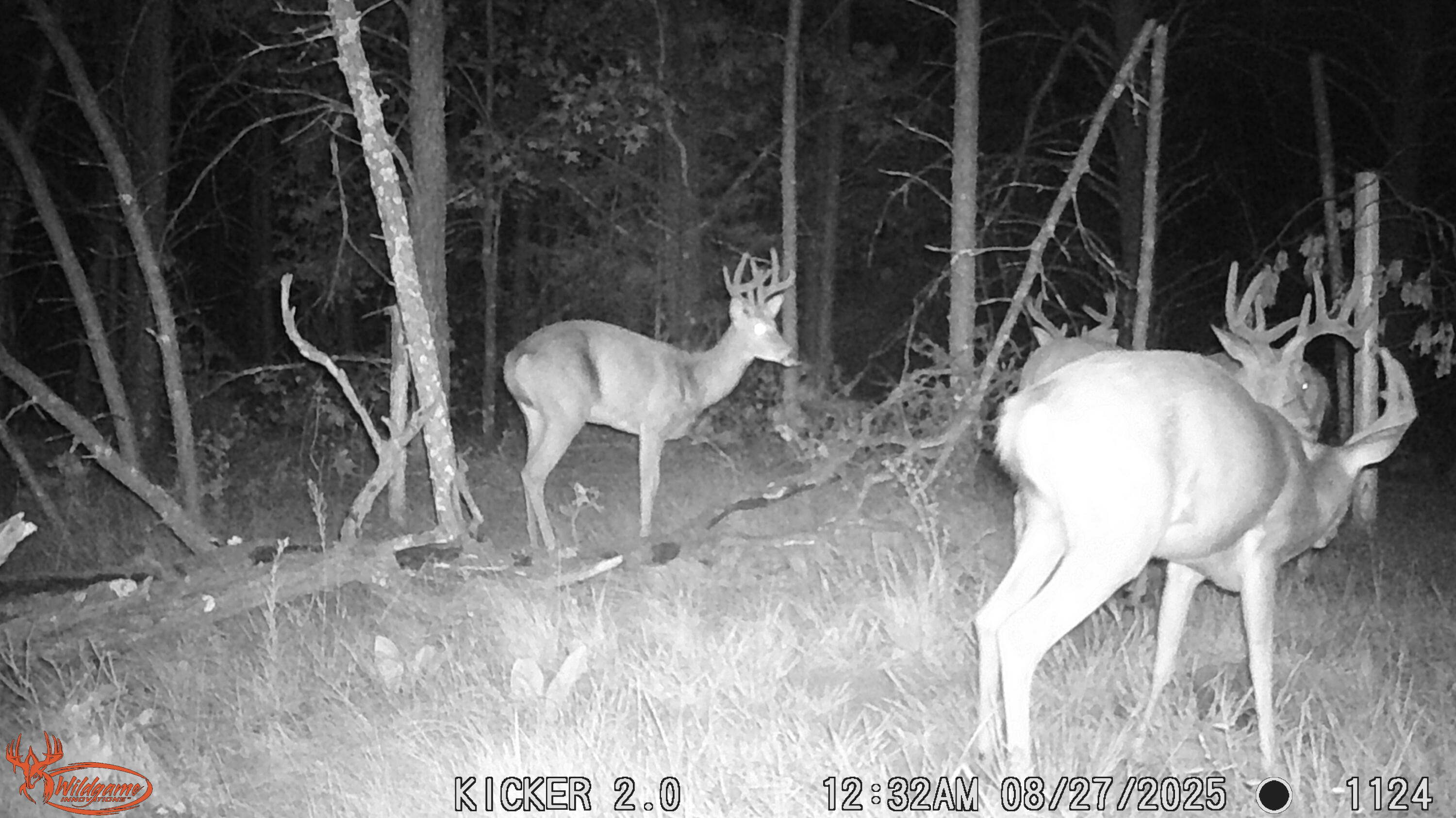 0 Lake Road Melrose, WI 54642 - Photo 18 of 60 16-WGI_1124