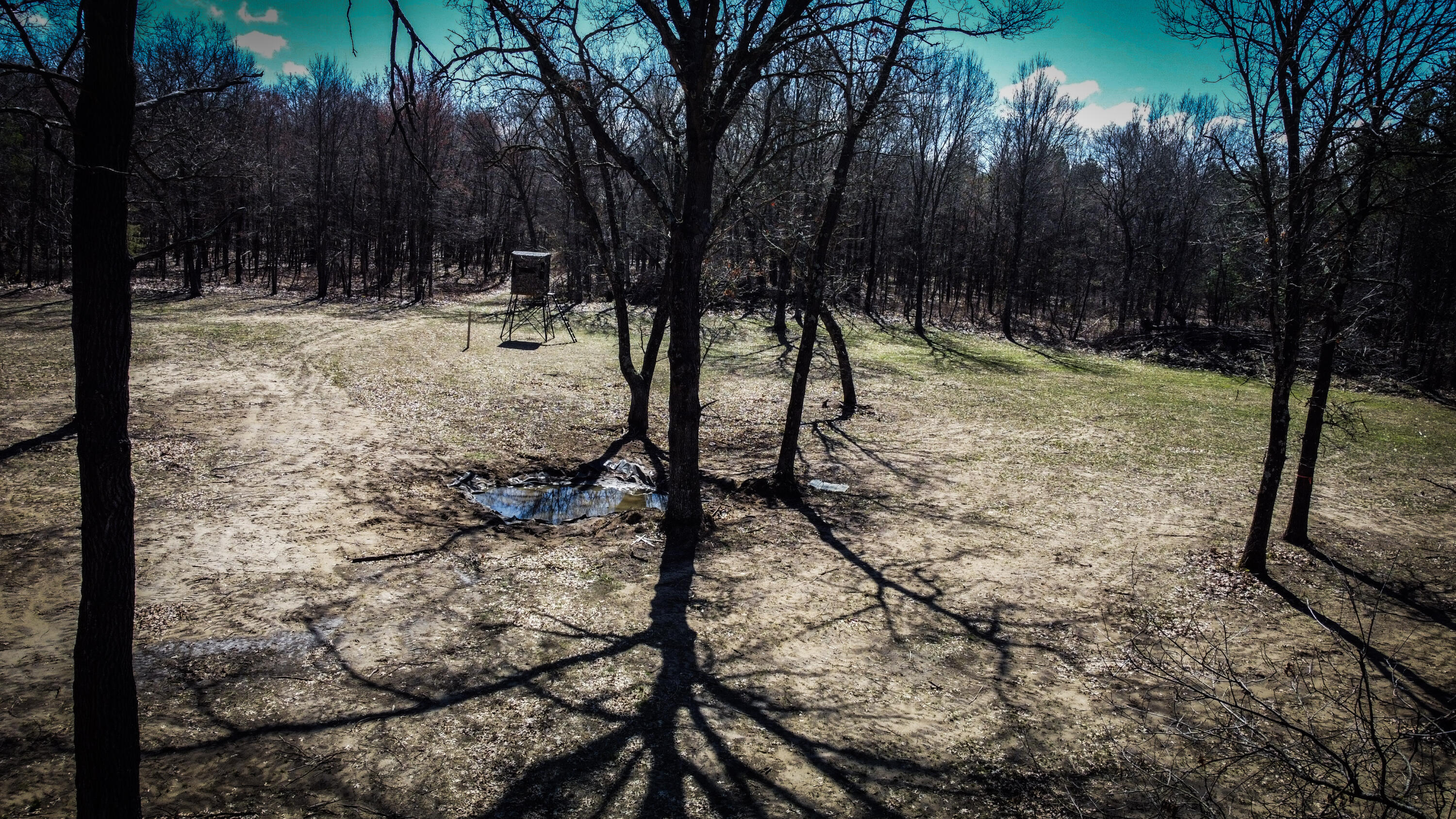 0 Lake Road Melrose, WI 54642 - Photo 19 of 60 33-DJI_0605
