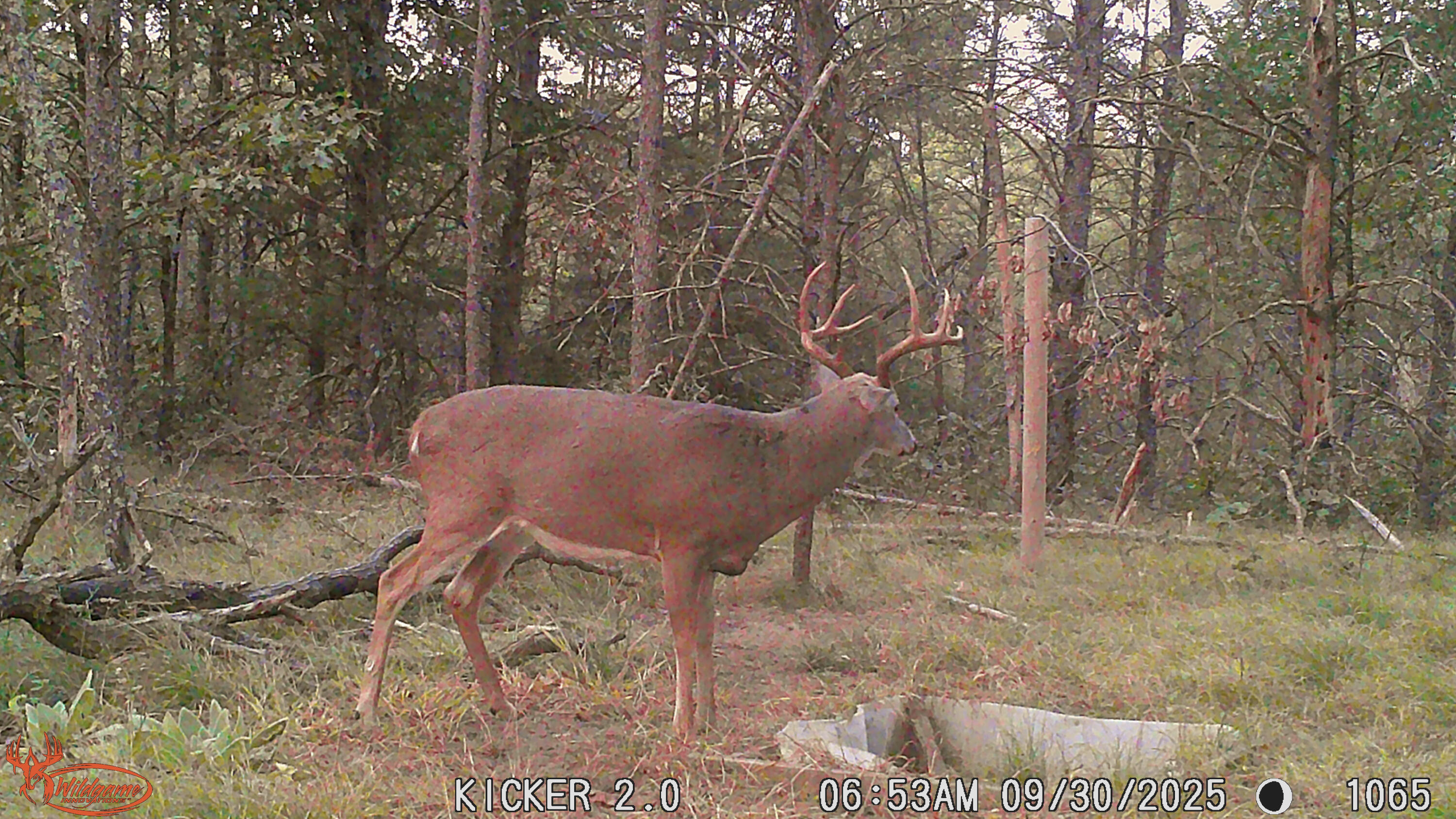 0 Lake Road Melrose, WI 54642 - Photo 2 of 60 20-WGI_1065