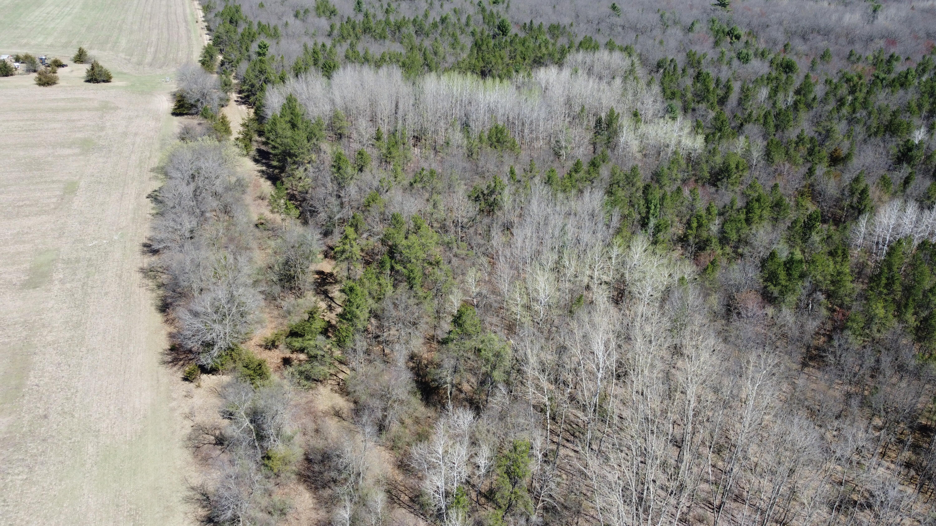 0 Lake Road Melrose, WI 54642 - Photo 24 of 60 61-DJI_0640