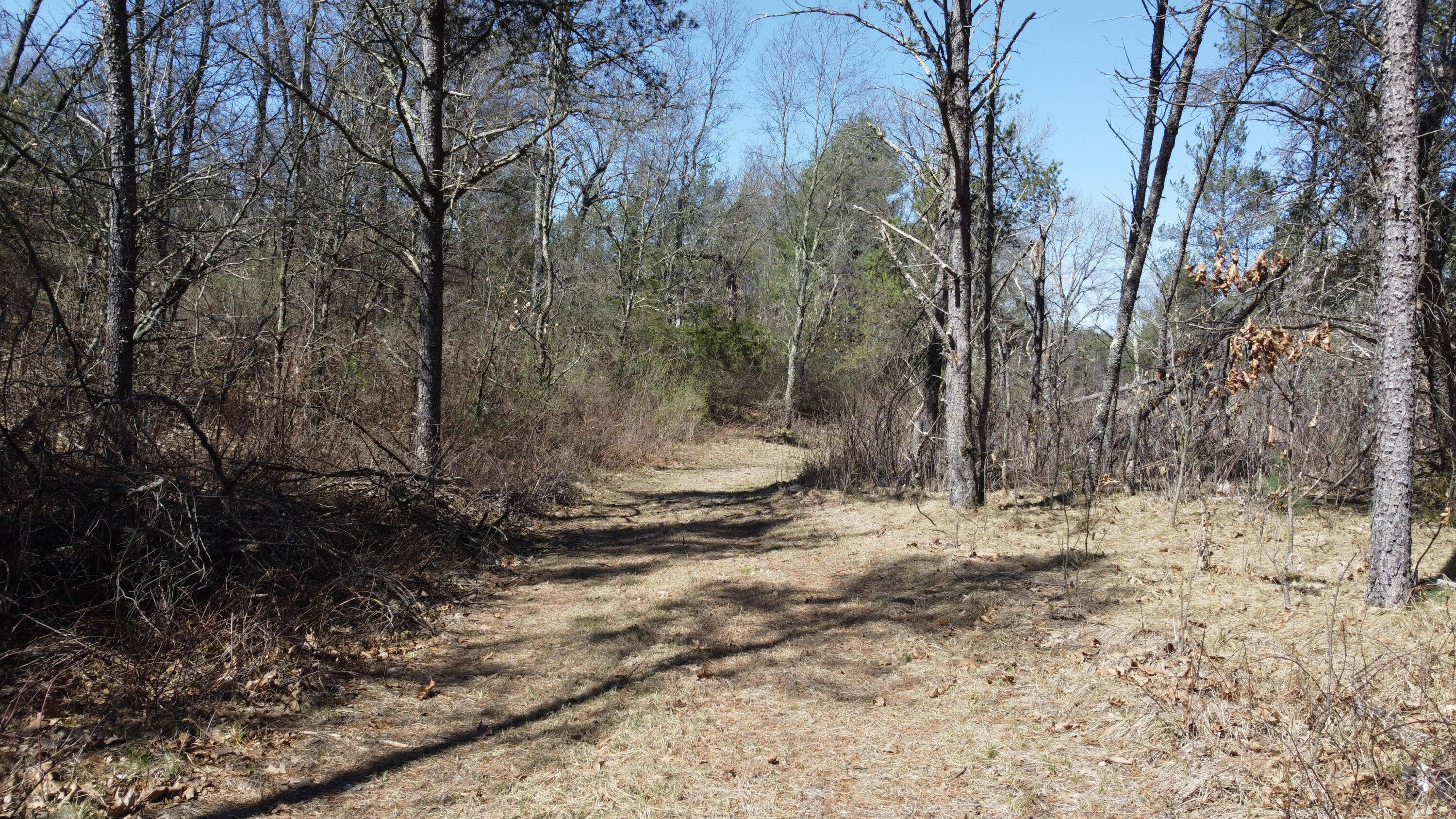 0 Lake Road Melrose, WI 54642 - Photo 28 of 60 55-DJI_0626