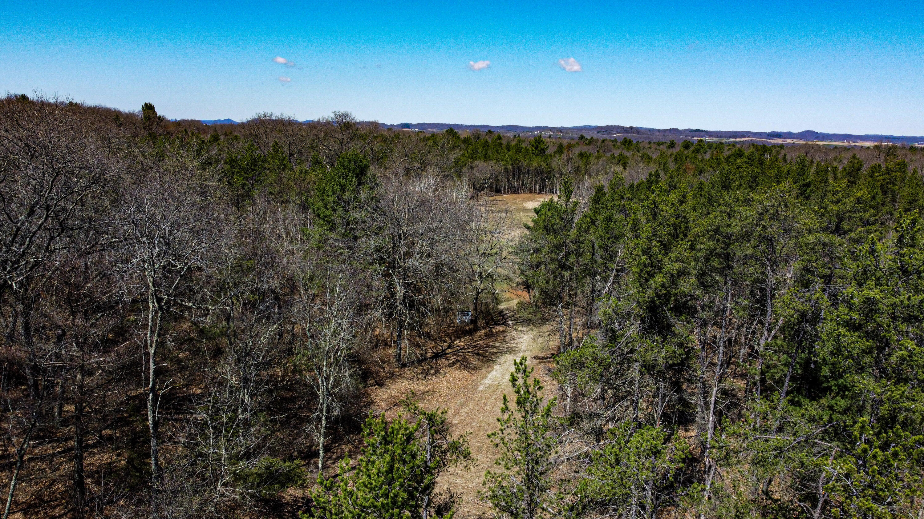 0 Lake Road Melrose, WI 54642 - Photo 29 of 60 56-DJI_0627