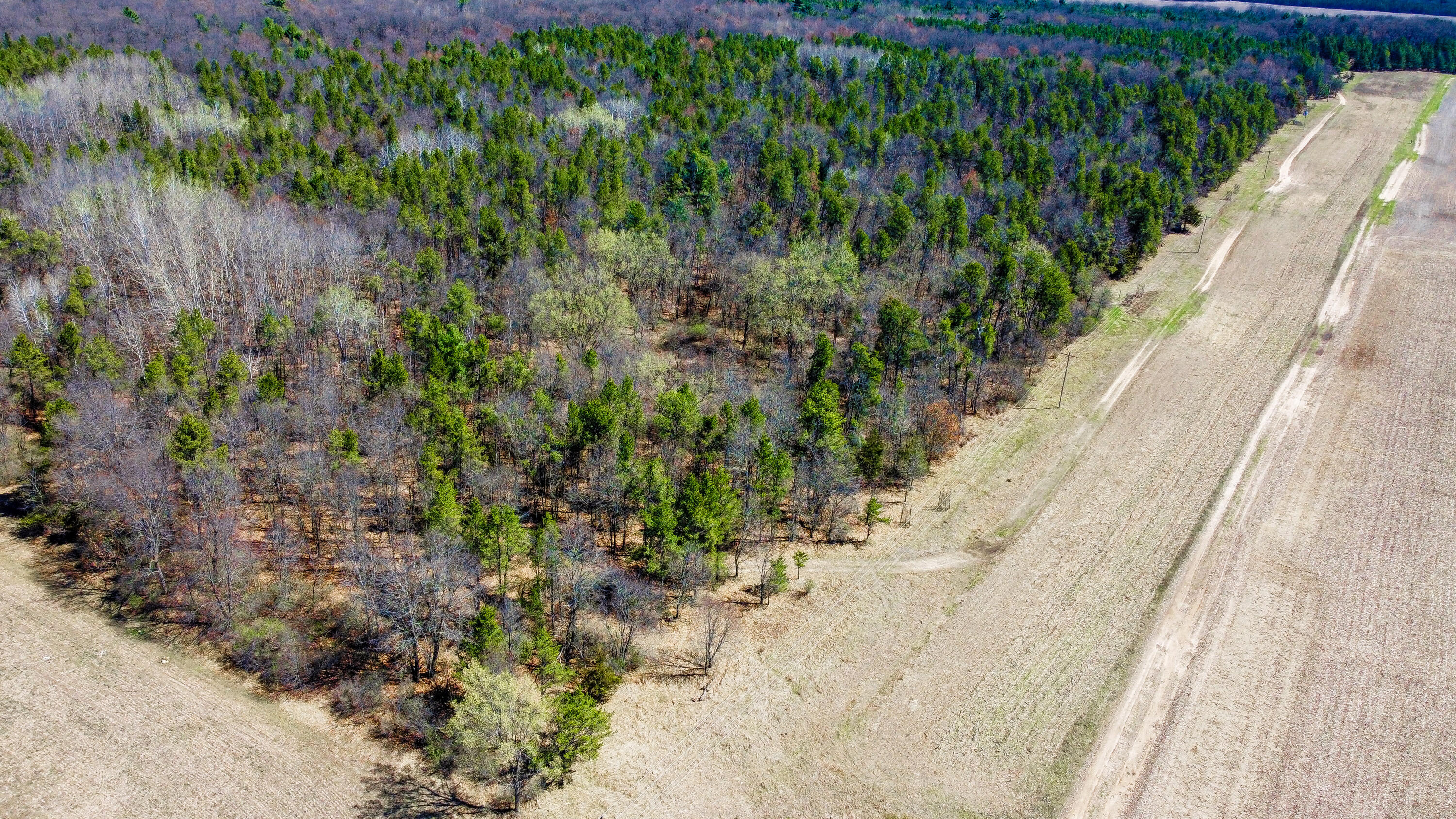0 Lake Road Melrose, WI 54642 - Photo 30 of 60 60-DJI_0638