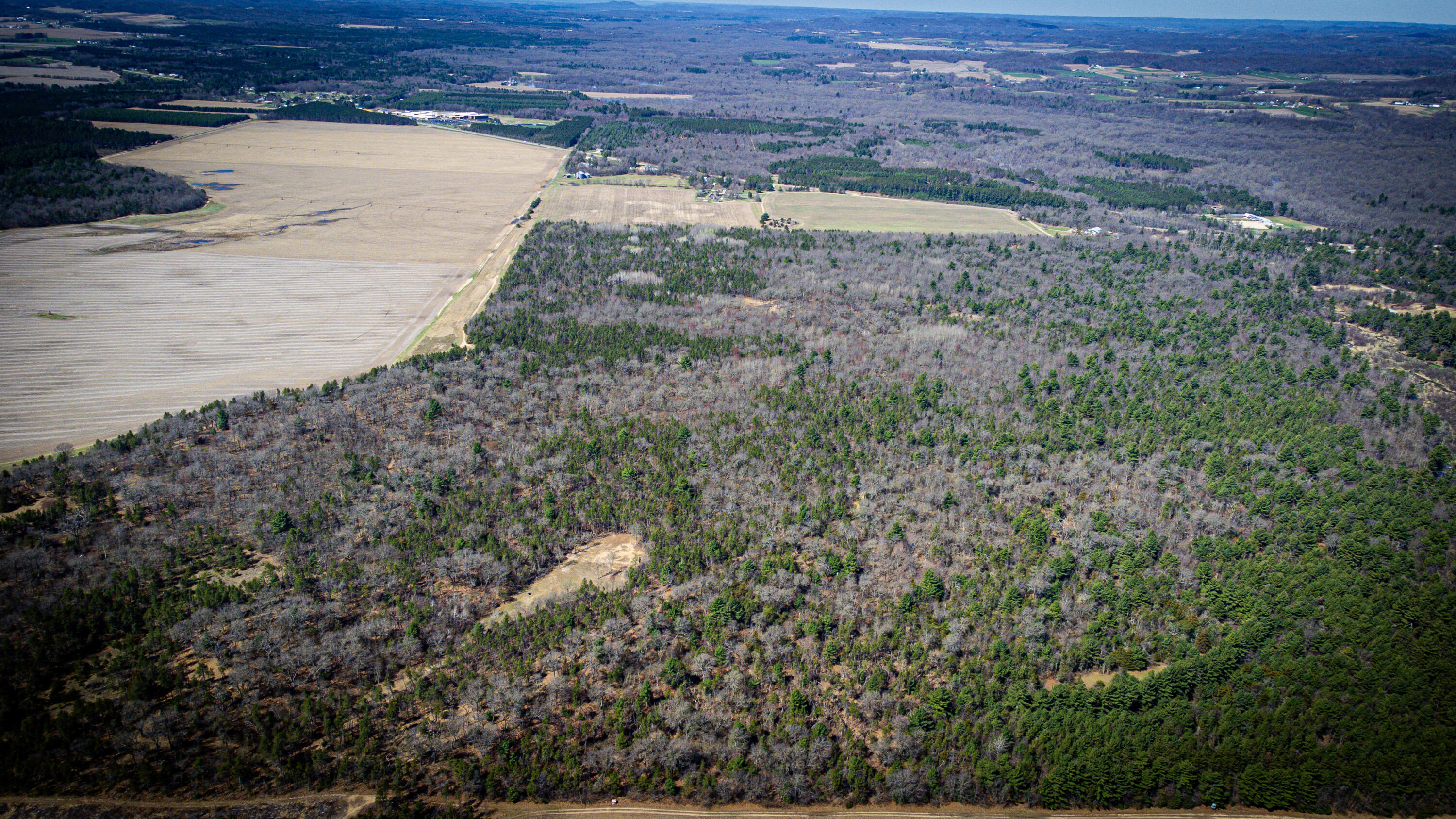 0 Lake Road Melrose, WI 54642 - Photo 31 of 60 42-DJI_0617