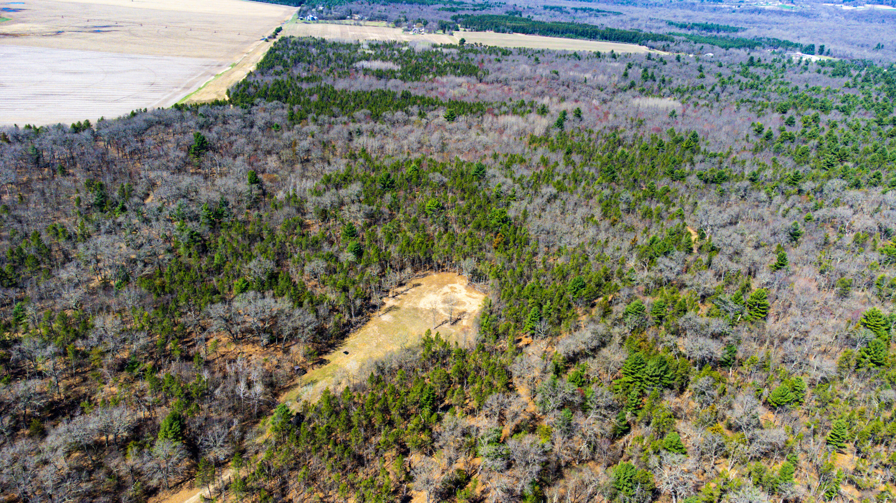 0 Lake Road Melrose, WI 54642 - Photo 4 of 60 39-DJI_0612
