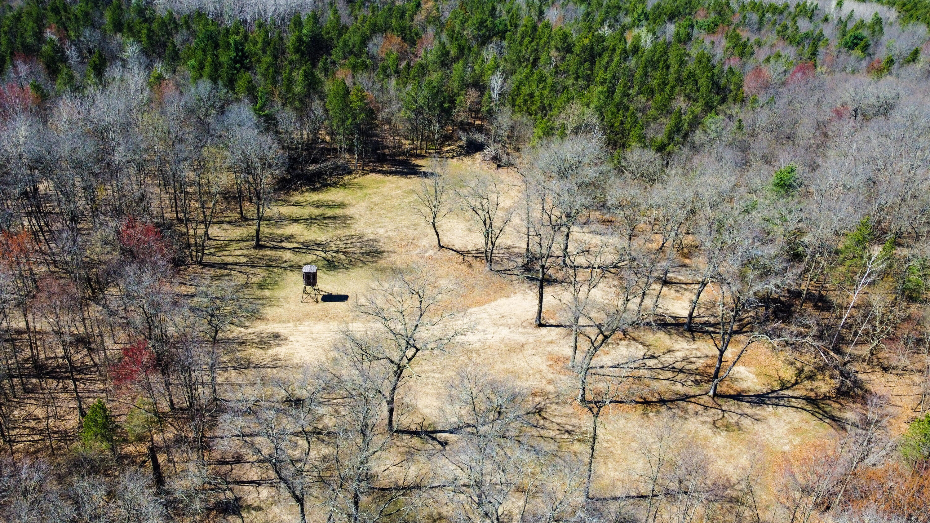 0 Lake Road Melrose, WI 54642 - Photo 42 of 60 35-DJI_0607