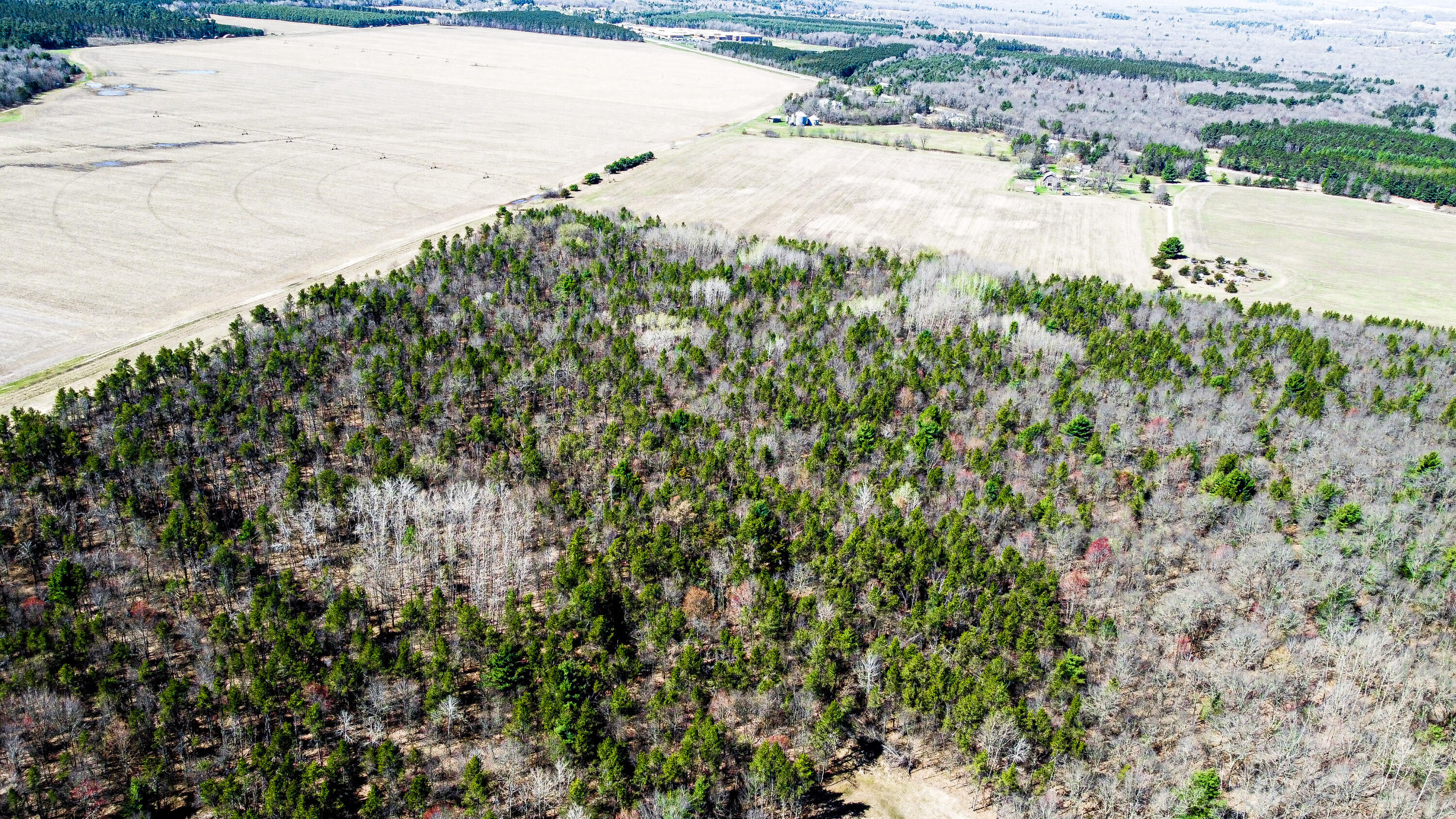 0 Lake Road Melrose, WI 54642 - Photo 43 of 60 36-DJI_0609