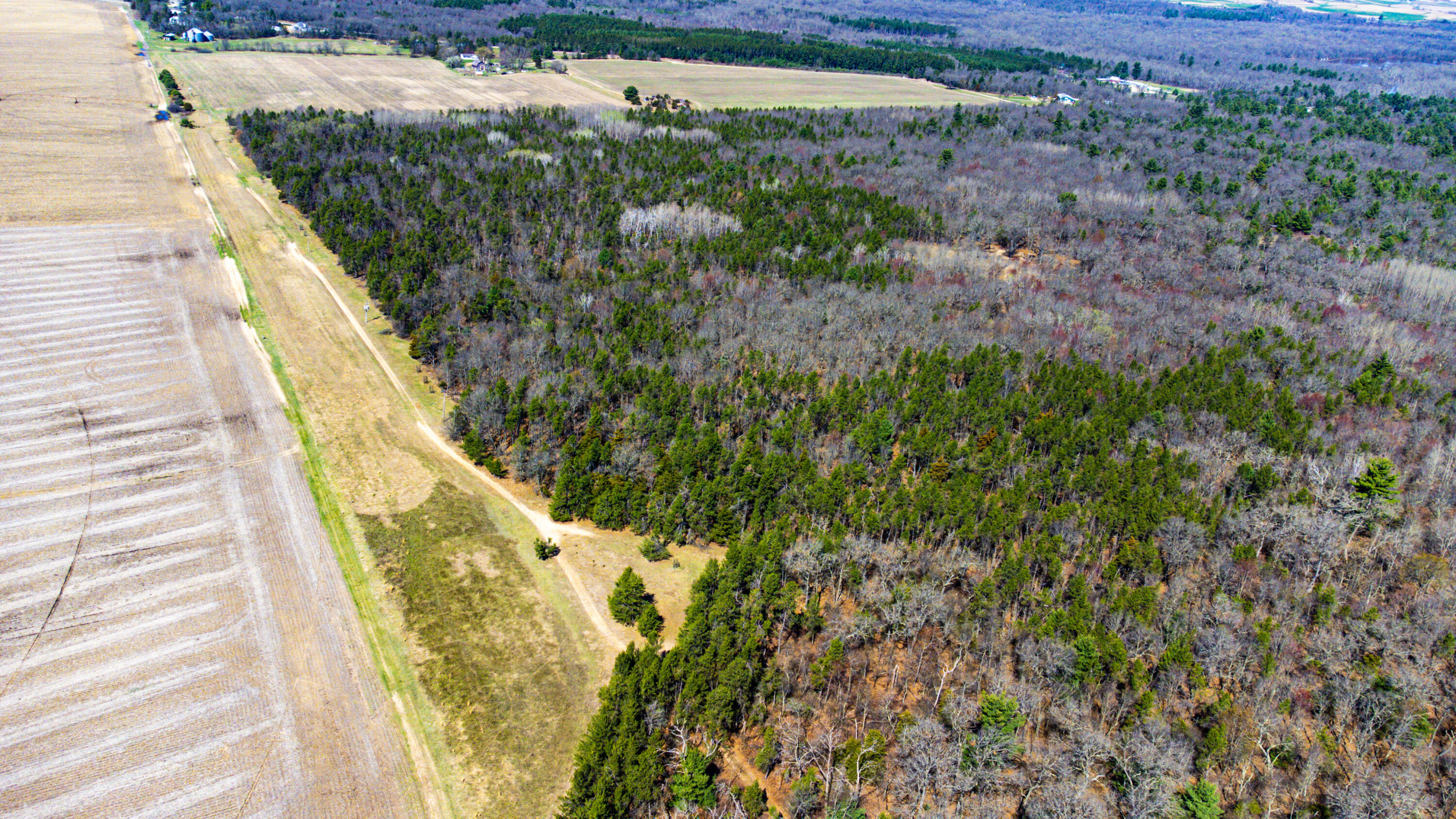 0 Lake Road Melrose, WI 54642 - Photo 44 of 60 37-DJI_0610
