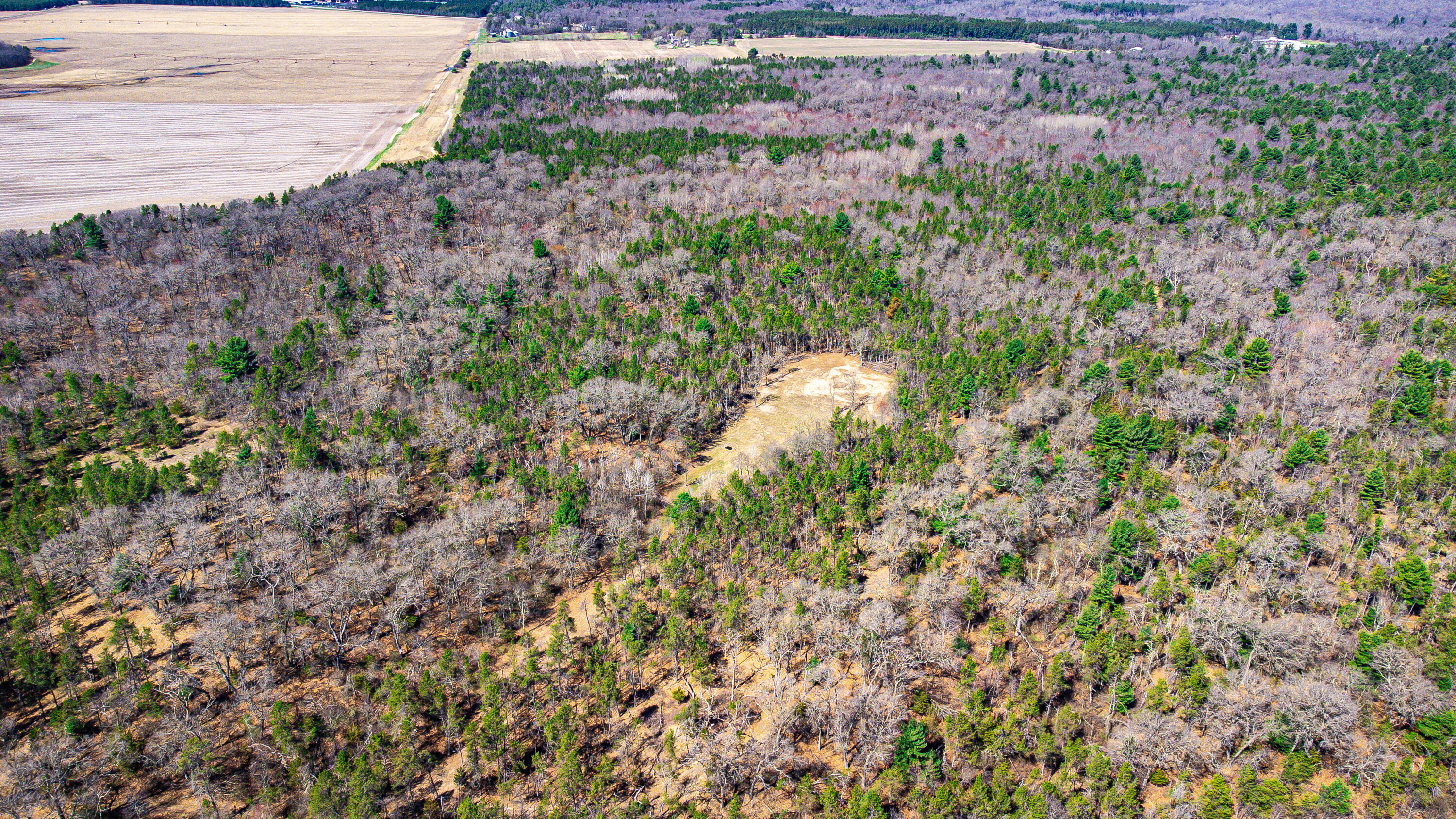 0 Lake Road Melrose, WI 54642 - Photo 45 of 60 40-DJI_0613