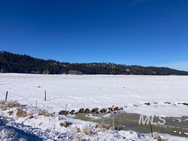 Tbd Bacon Creek Road Cascade, ID 83611 - Photo 13 of 13 Yard layered in snow featuring a view of trees