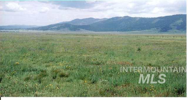 Tbd Bacon Creek Road Cascade, ID 83611 - Photo 3 of 13