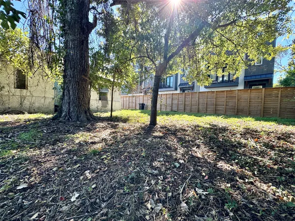 a view of a backyard with large tree and wooden fence