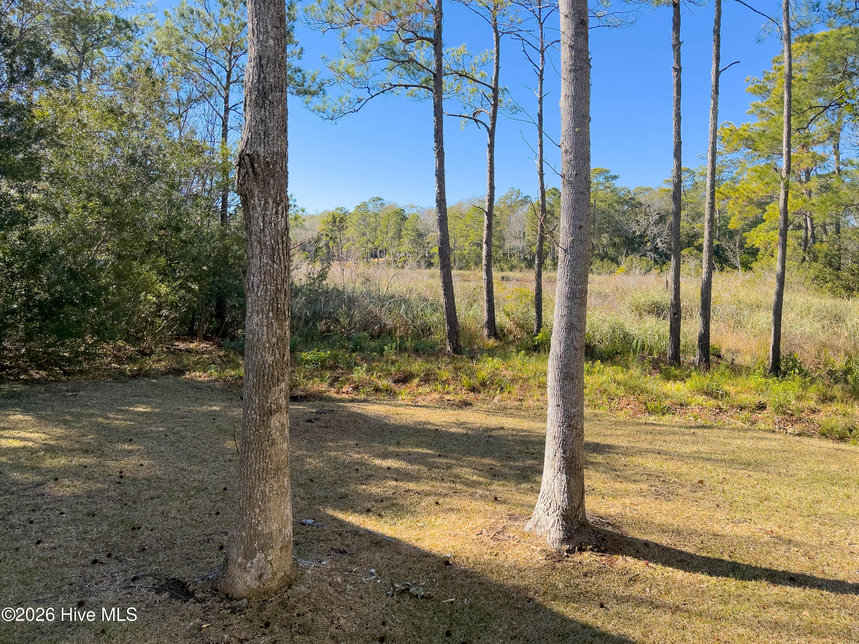 1907 Redfish Run Southwest Supply, NC 28462 - Photo 57 of 87 1907 Red Fish Run MLS-52