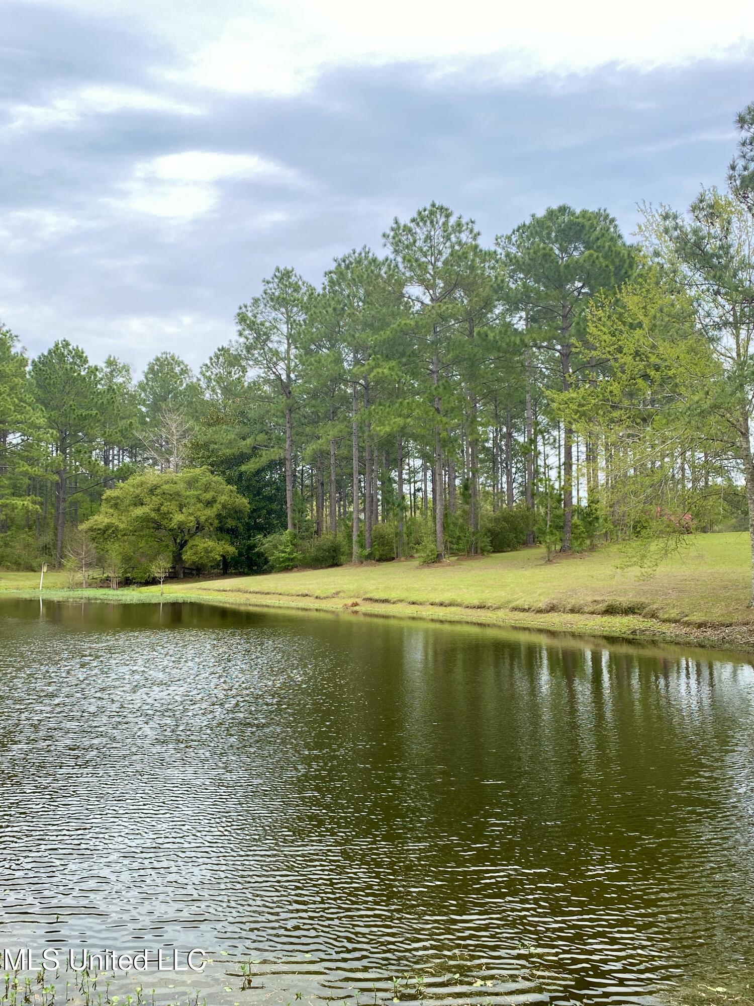 299 Quitman Perry Road Carriere, MS 39426 - Photo 54 of 79 51, Pond, IMG_2856