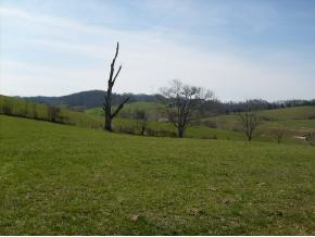 371 Whitehead Road Bluff City, TN 37618 - Photo 3 of 6 Photo 3